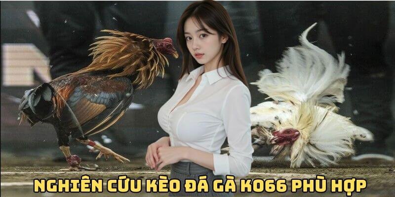 Nghiên cứu kèo phù hợp để chơi Nghiên cứu kèo phù hợp để chơi