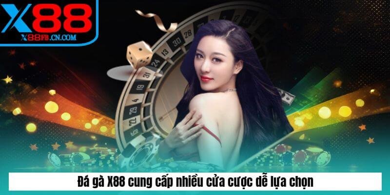 Đá gà X88 cung cấp nhiều cửa cược dễ lựa chọn Đá gà X88 cung cấp nhiều cửa cược dễ lựa chọn