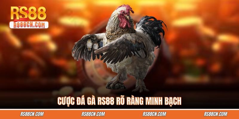 Cược đá gà RS88 rõ ràng minh bạch