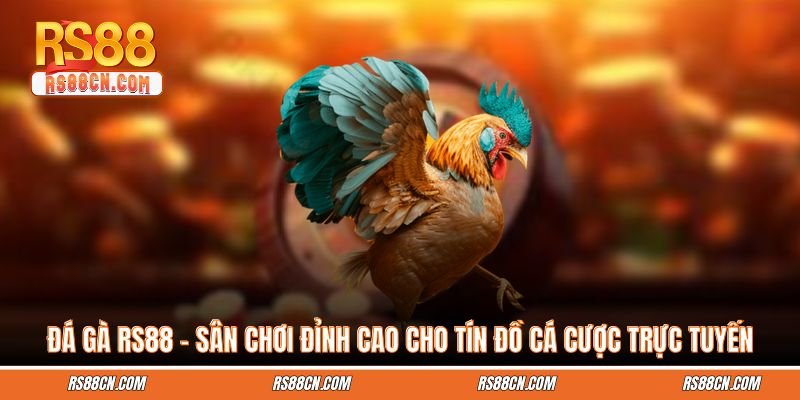 Đá Gà Rs88 – Sân Chơi Đỉnh Cao Cho Tín Đồ Cá Cược Trực Tuyến