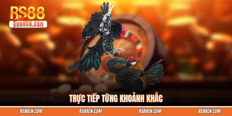 Trực tiếp từng khoảnh khắc